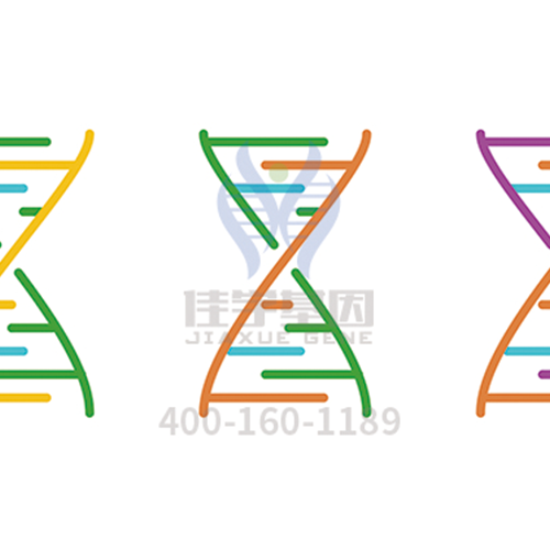 【眼科遗传病】<font color='red'>BEST</font>病基因解码、<a href=http://www.daoxim.com/tk/jiema/cexujishu/2021/31933.html>基因检测</a>