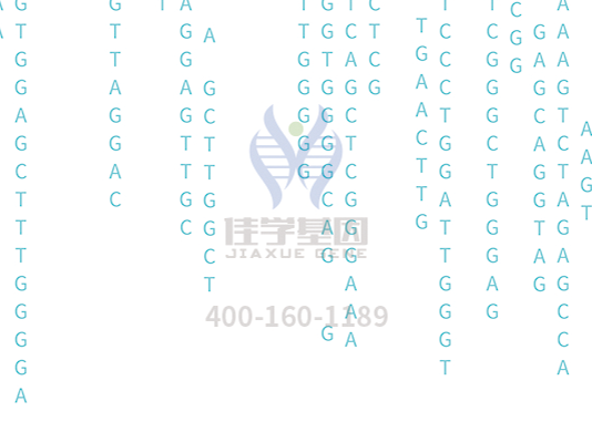 【Ebpay基因检测】<font color='red'><font color='red'>庞贝</font>氏</font>症（Pompe disease)基因解码、基因检测